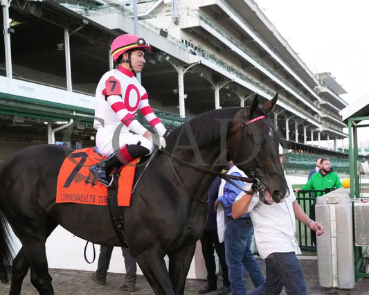 GIOCOSO - 112225 - Race 10 - CD - Post Parade 01 - Coady Media - Kurtis Coady Photography