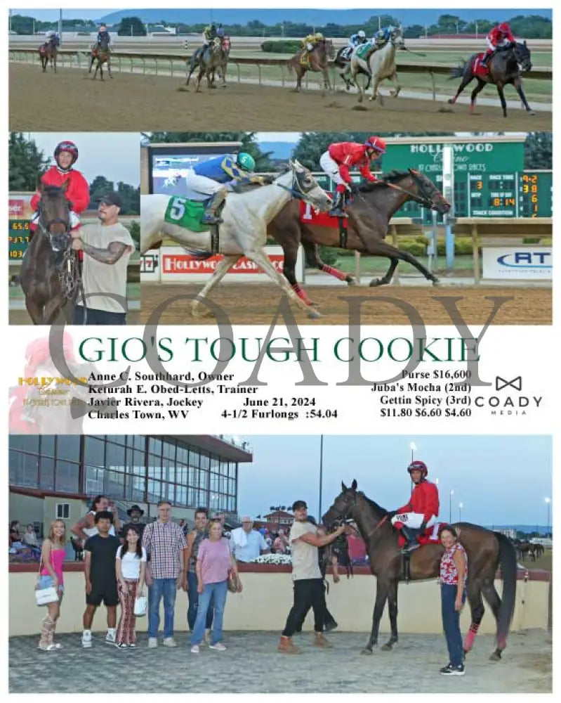 Gio’s Tough Cookie - 06-21-24 R03 Ct Hollywood Casino At Charles Town Races