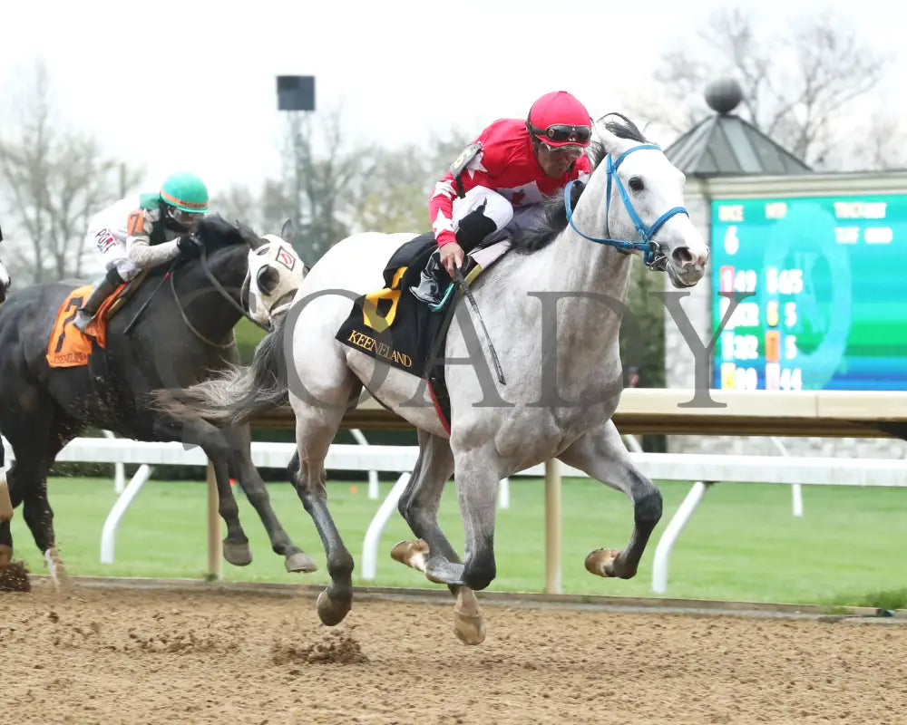 Glengarry - Lafayette Stakes 04 - 05 - 24 R06 Kee Finish 02 Keeneland