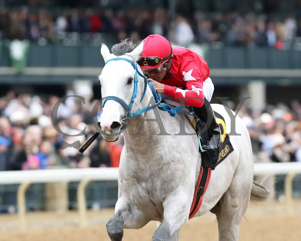 Glengarry - Lafayette Stakes 04 - 05 - 24 R06 Kee Inside Finish 01 Keeneland