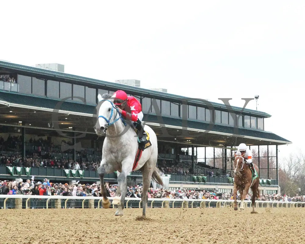 Glengarry - Lafayette Stakes 04 - 05 - 24 R06 Kee Under Rail 01 Keeneland
