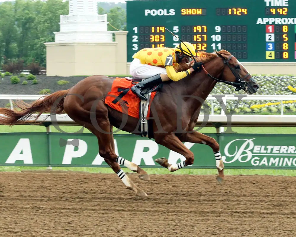 Gliding Alone - 053115 Race 07 Btp Fin Belterra Park