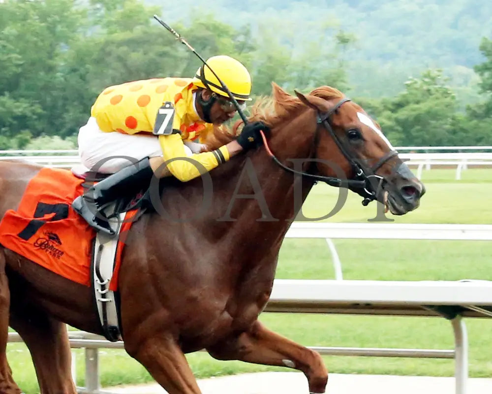 Gliding Alone - 053115 Race 07 Btp Fin Tight Belterra Park