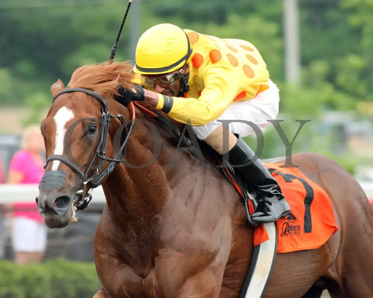 Gliding Alone - 053115 Race 07 Btp Ins Belterra Park