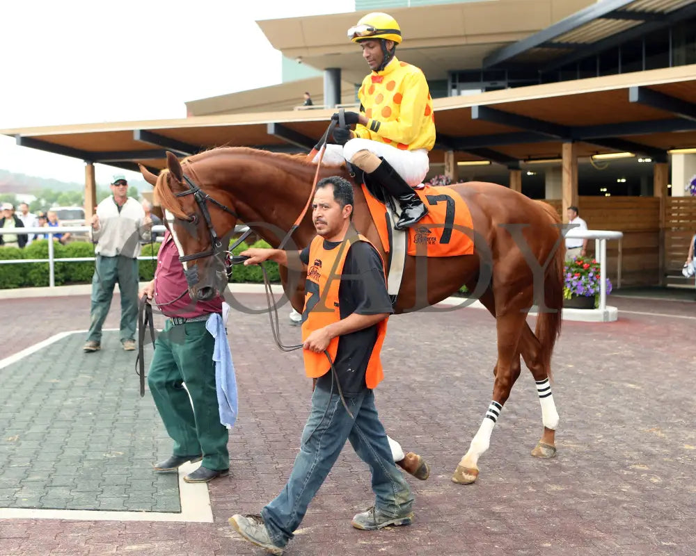 Gliding Alone - 053115 Race 07 Btp Paddock Belterra Park