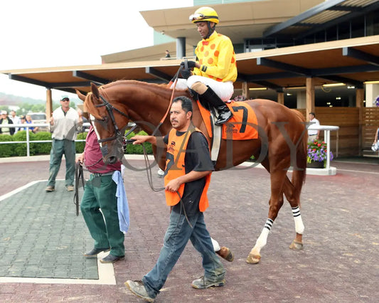 Gliding Alone - 053115 Race 07 Btp Paddock Belterra Park