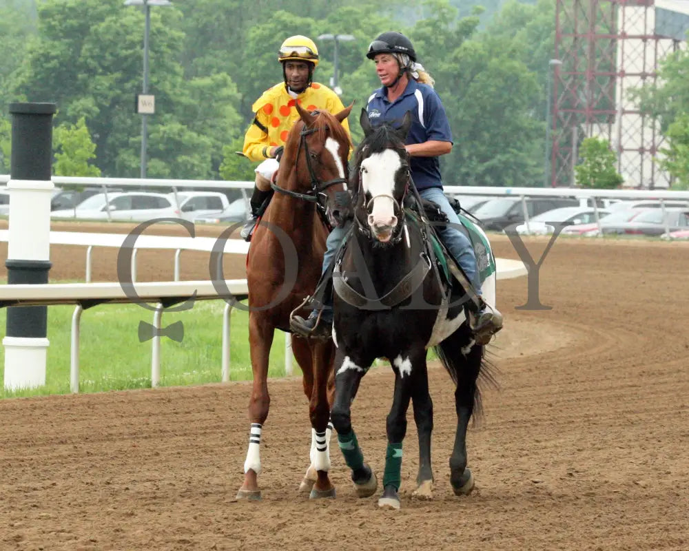 Gliding Alone - 053115 Race 07 Btp Post Parade Belterra Park