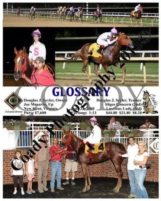 Glossary - 6 22 2009 Colonial Downs
