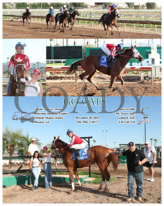 GO CATS - 11-28-25 - R04 - TUP Turf Paradise