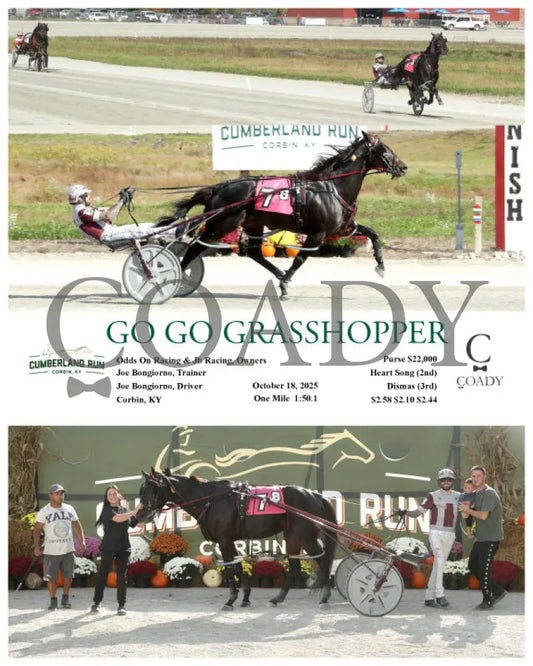 GO GO GRASSHOPPER - 101825 - Race 08 - CMR Presque Isle Downs