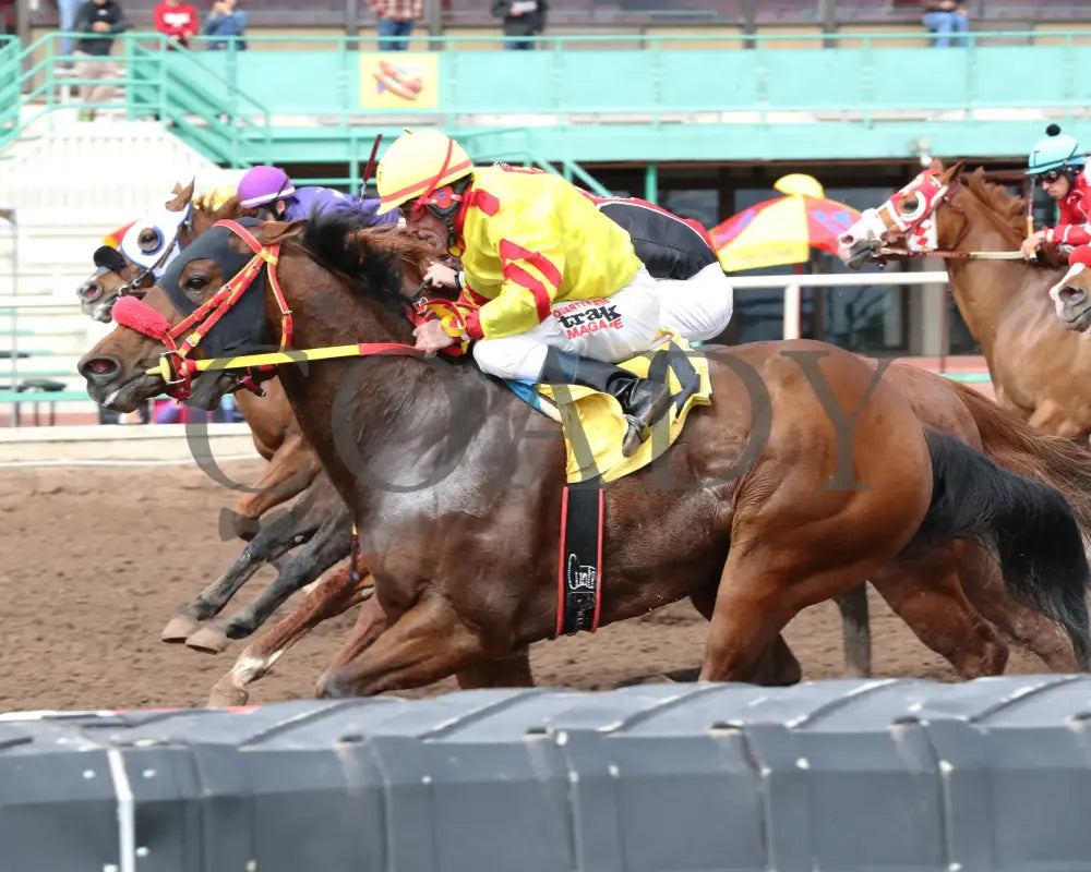 Go Seis Jr - Wayne Brasher Memorial Stakes 02-07-24 R02 Turf Paradise Inside Finish