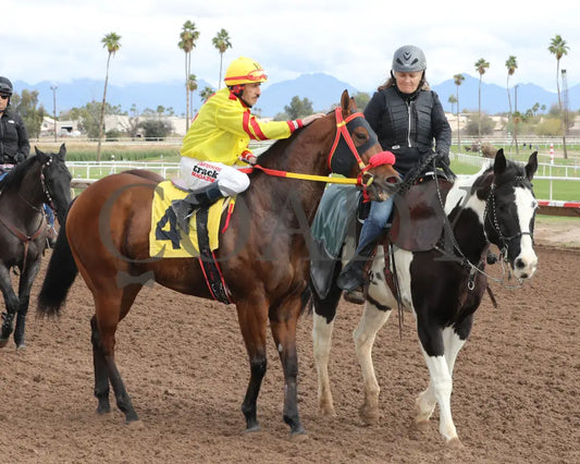 Go Seis Jr - Wayne Brasher Memorial Stakes 02-07-24 R02 Turf Paradise Post Parade