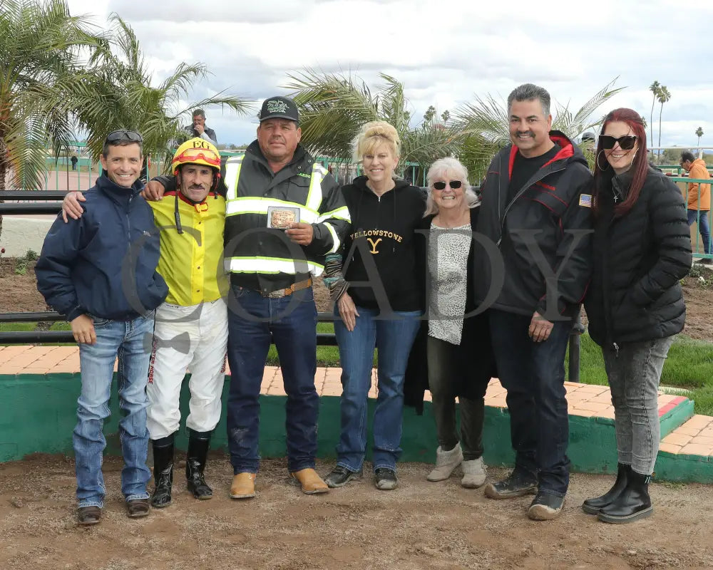 Go Seis Jr - Wayne Brasher Memorial Stakes 02-07-24 R02 Turf Paradise Presentation