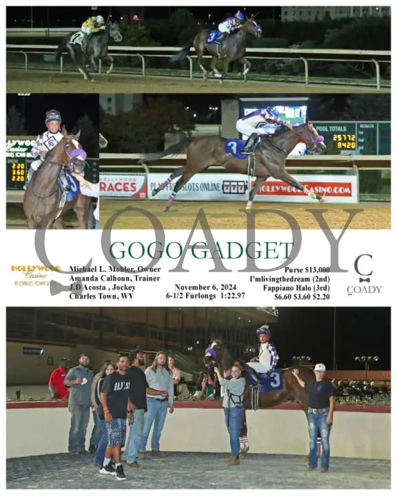 Gogo Gadget - Sponsored By Fae Proelite Nutrena Lust And Cedar Lane Tack 11-06-24 R03 Ct Hollywood