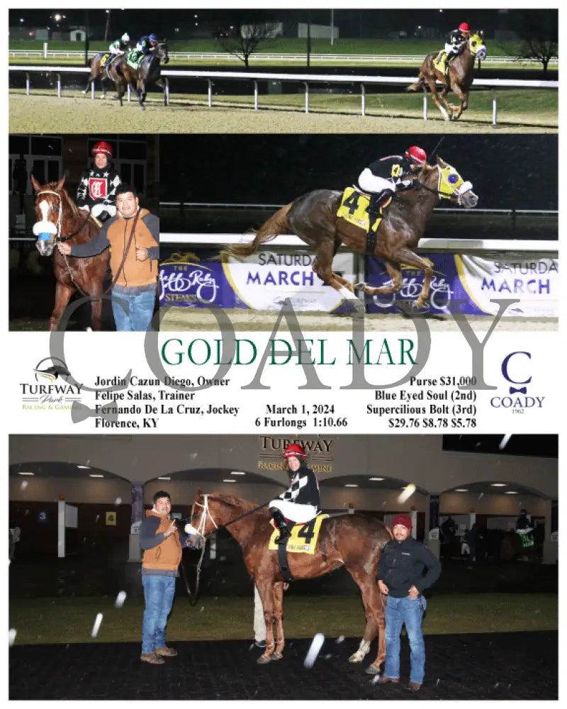 Gold Del Mar - 03-01-24 R04 Tp Turfway Park