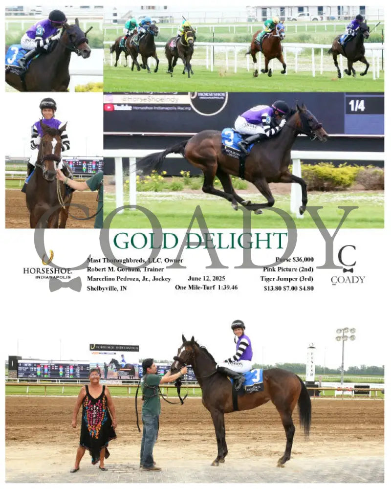 GOLD DELIGHT - 06-12-25 - R04 - IND Indiana Grand