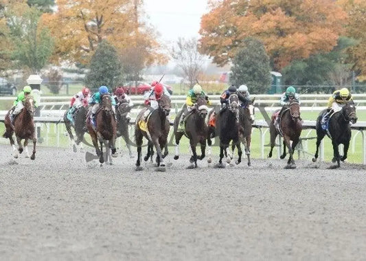 Gold D’oro - 1 102811 Race 09 Keeneland