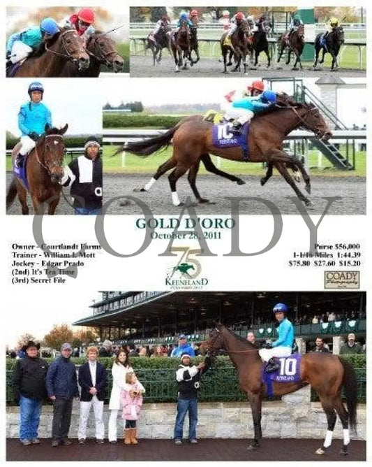 Gold D’oro - 102811 Keeneland