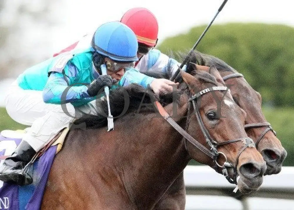 Gold D’oro - 4 102811 Race 09 Keeneland