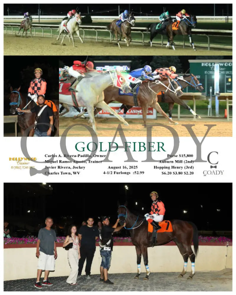 GOLD FIBER - 08-16-25 - R08 - CT Hollywood Casino at Charles Town Races