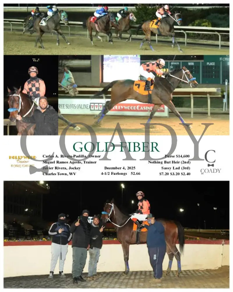 GOLD FIBER - 12-04-25 - R02 - CT Hollywood Casino at Charles Town Races