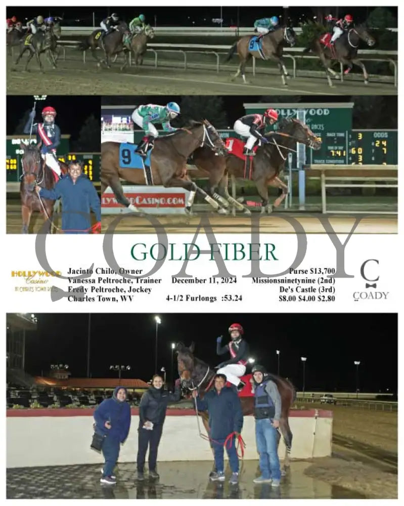 Gold Fiber - 12-11-24 R02 Ct Hollywood Casino At Charles Town Races