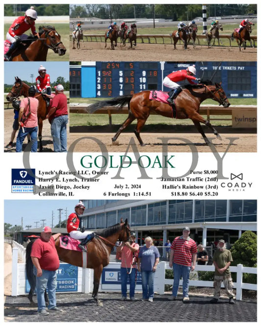 Gold Oak - 07-02-24 R05 Fan Fanduel Sportsbook Horse Racing