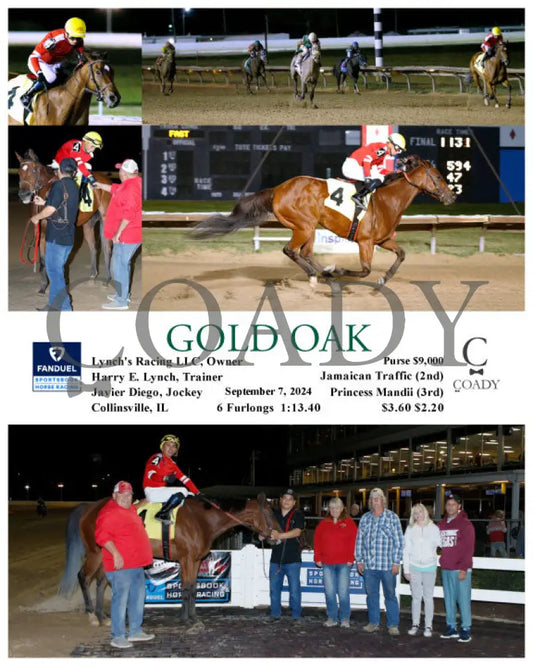 Gold Oak - 09-07-24 R03 Fan Fanduel Sportsbook Horse Racing
