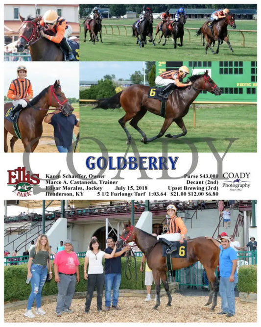 Goldberry - 071518 Race 09 Elp Ellis Park