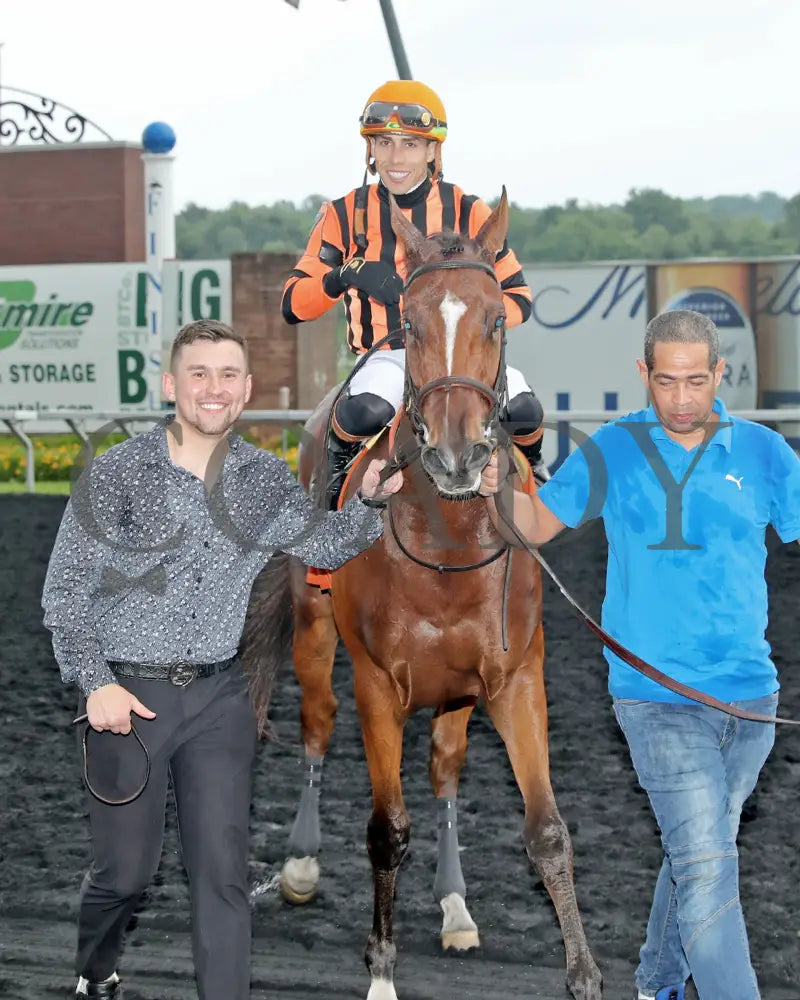 GOLDEN AFTERNOON - The Tom Ridge Stakes - 19th Running - 06-30-25 - R07 - PID - Comeback Presque Isle Downs