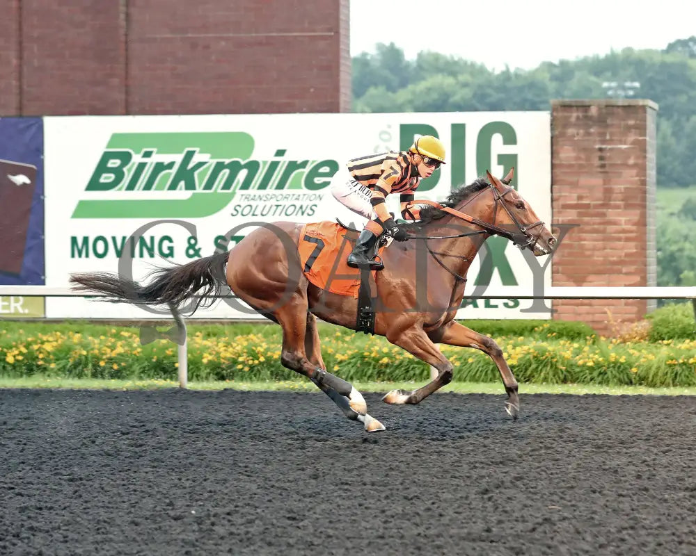 GOLDEN AFTERNOON - The Tom Ridge Stakes - 19th Running - 06-30-25 - R07 - PID - Finish Presque Isle Downs