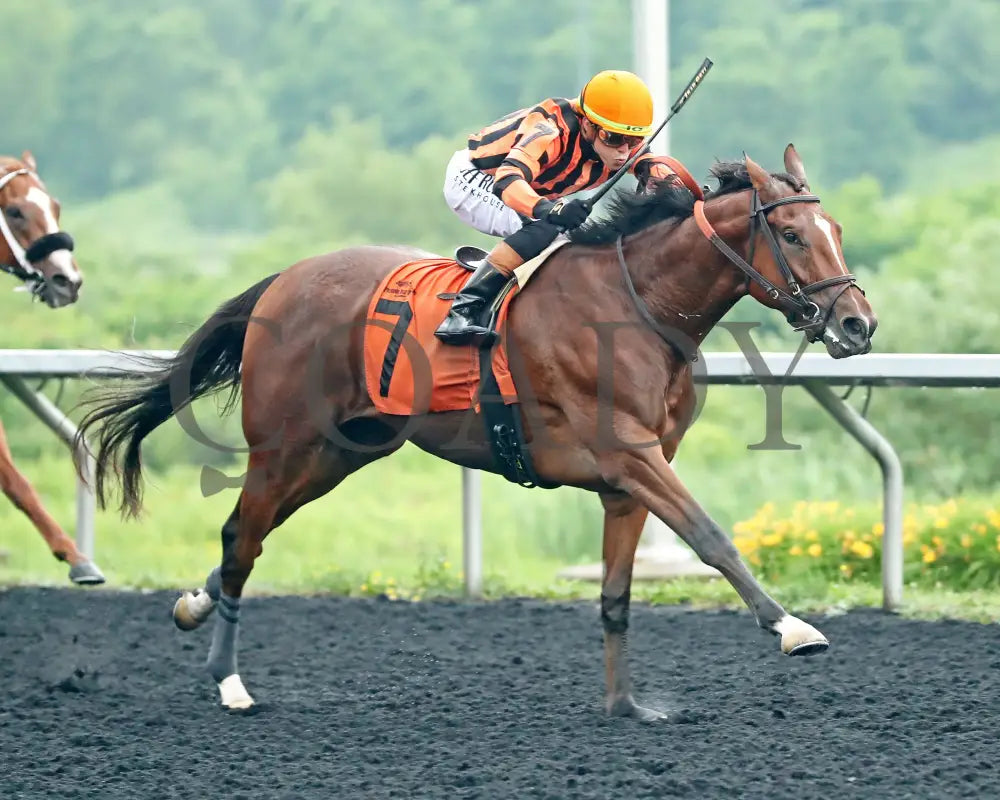 GOLDEN AFTERNOON - The Tom Ridge Stakes - 19th Running - 06-30-25 - R07 - PID - Tight Finish 01 Presque Isle Downs