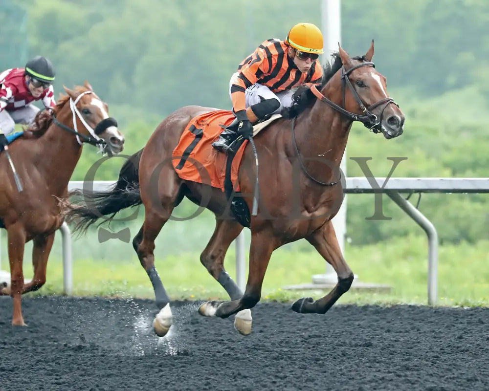GOLDEN AFTERNOON - The Tom Ridge Stakes - 19th Running - 06-30-25 - R07 - PID - Tight Finish 02 Presque Isle Downs