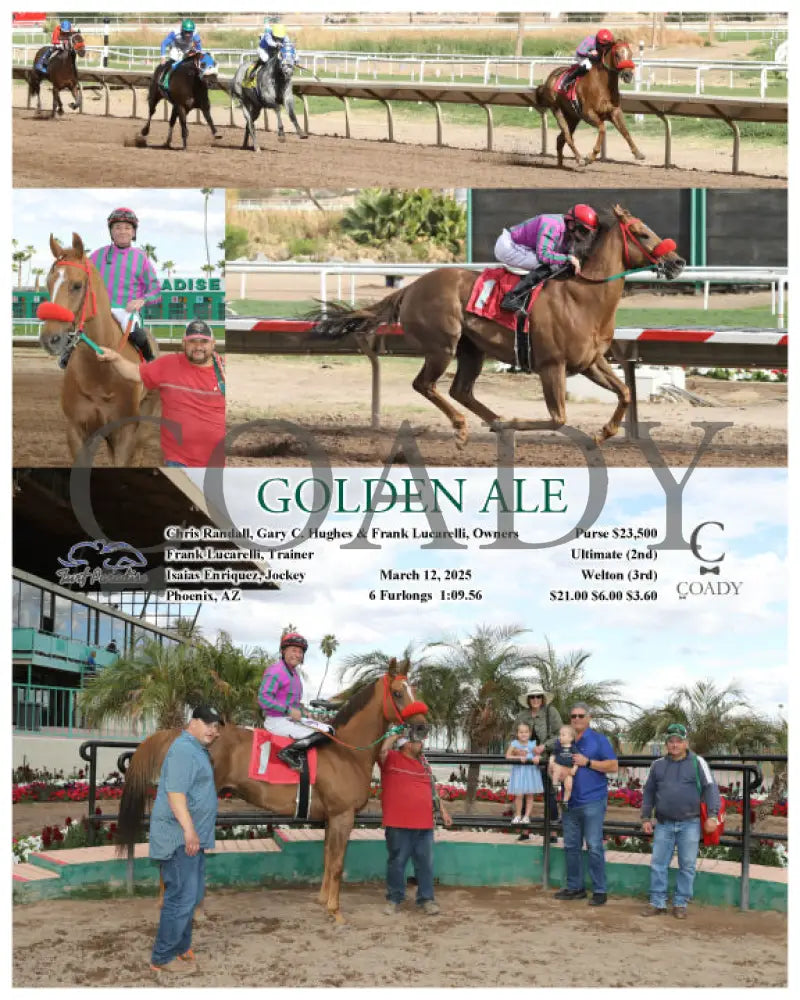 GOLDEN ALE - 03-12-25 - R06 - TUP Turf Paradise