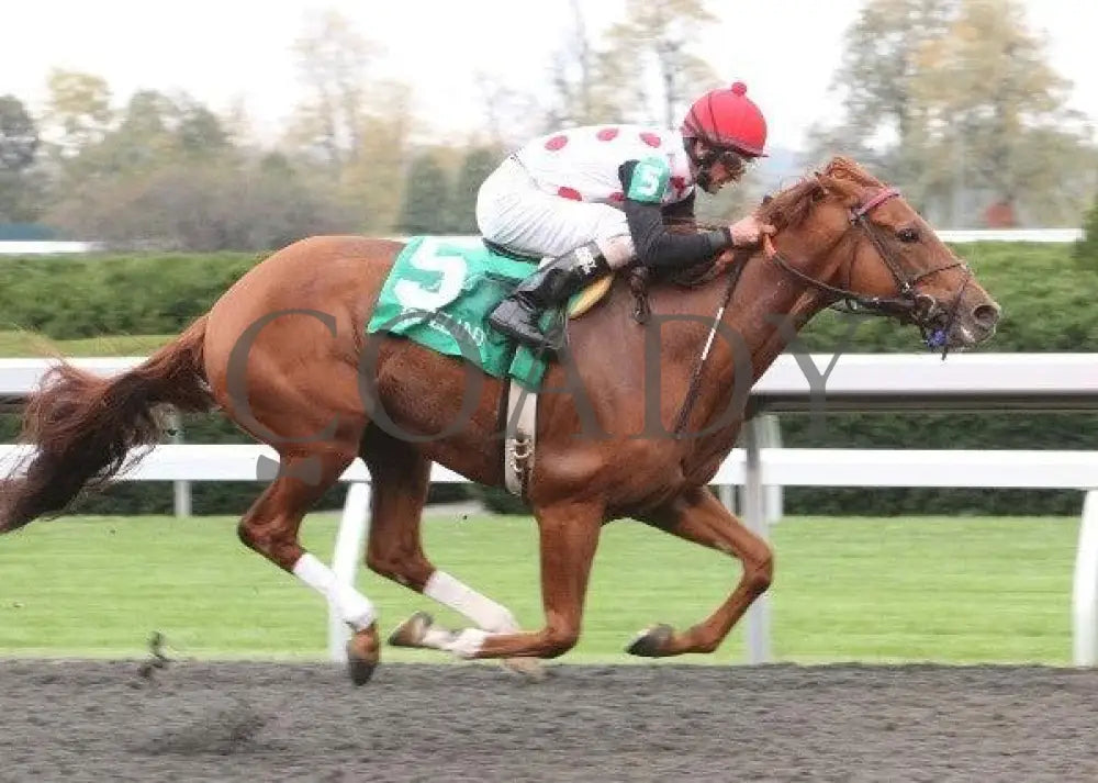 Golden Causeway - 1 101211 Race 04 Keeneland