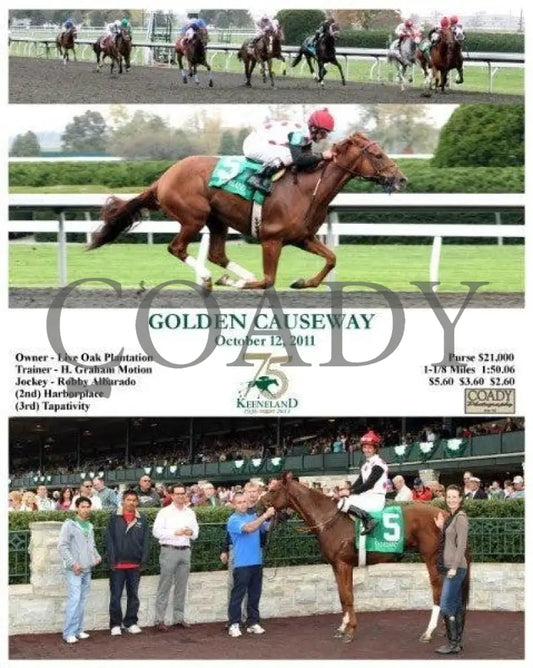 Golden Causeway - 101211 Keeneland
