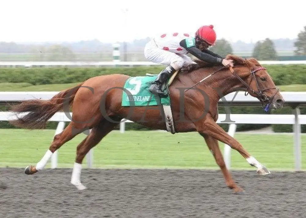 Golden Causeway - 2 101211 Race 04 Keeneland