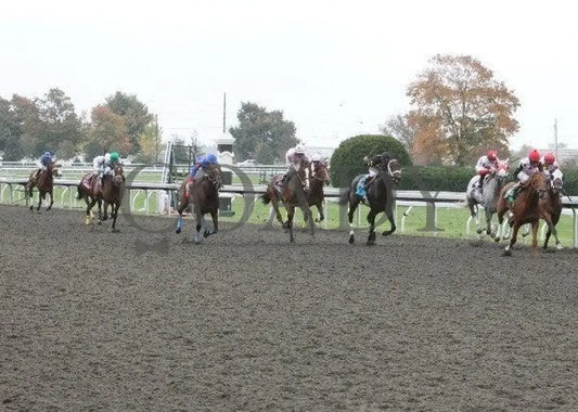 Golden Causeway - 3 101211 Race 04 Keeneland