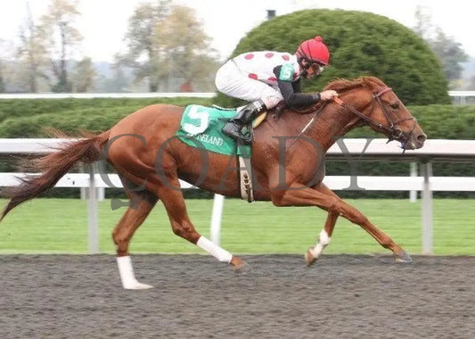 Golden Causeway - 5 101211 Race 04 Keeneland