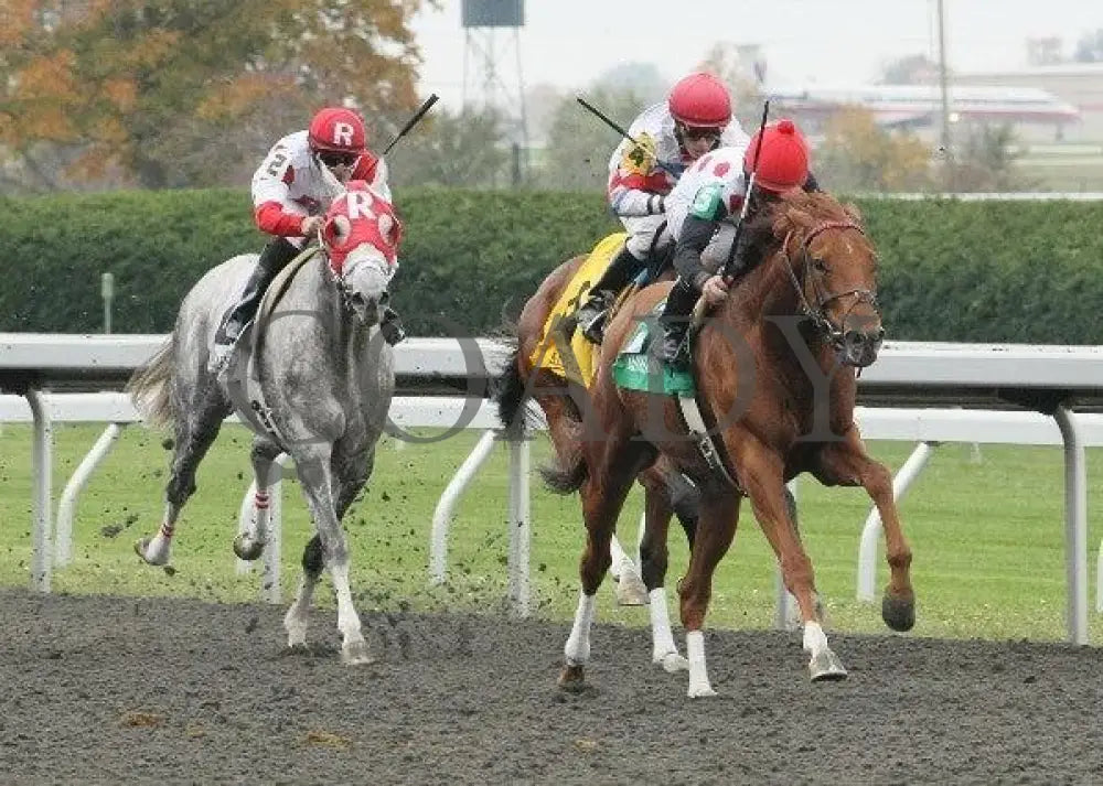 Golden Causeway - 6 101211 Race 04 Keeneland