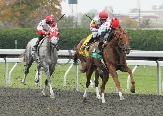 Golden Causeway - 6 101211 Race 04 Keeneland