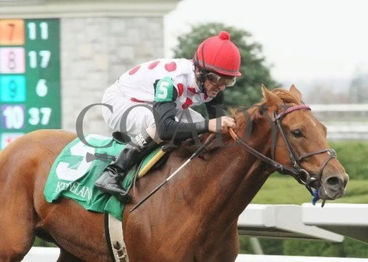 Golden Causeway - 7 101211 Race 04 Keeneland