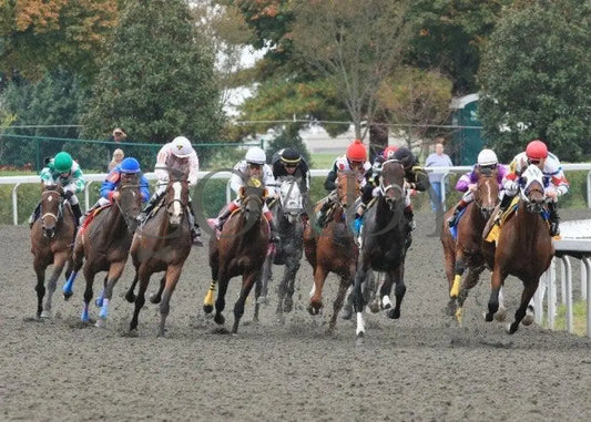 Golden Causeway - 8 101211 Race 04 Keeneland