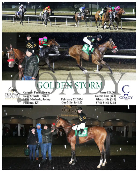 Golden Storm - 02-22-24 R02 Tp Turfway Park