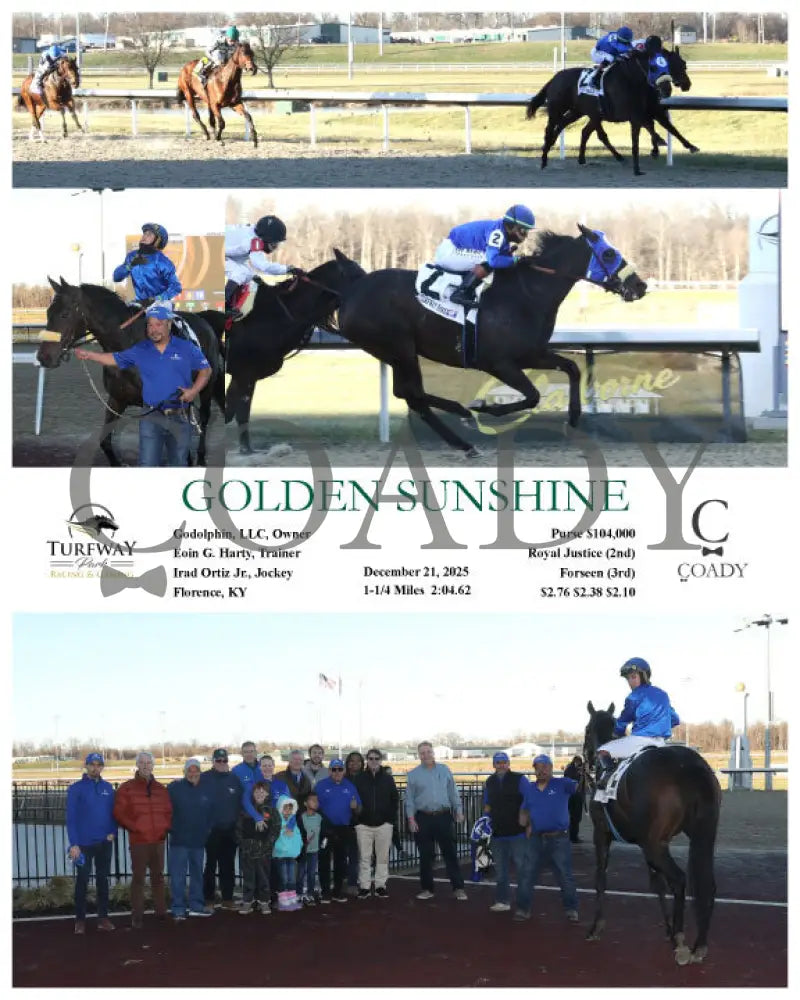 GOLDEN SUNSHINE - 12-21-25 - R03 - TP - Coady Media - Kurtis Coady Photography