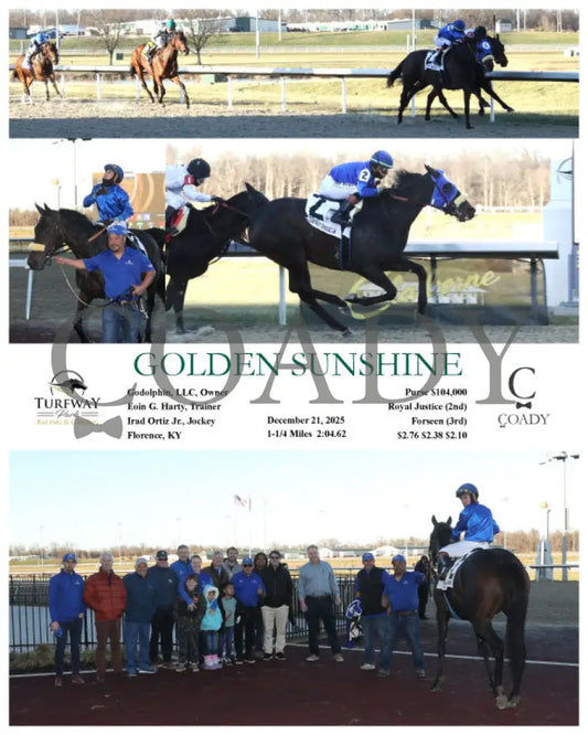 GOLDEN SUNSHINE - 12-21-25 - R03 - TP - Coady Media - Kurtis Coady Photography