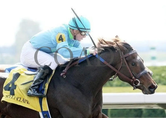 Goldrush Girl - 1 102911 Race 04 Keeneland