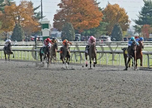 Goldrush Girl - 4 102911 Race 04 Keeneland