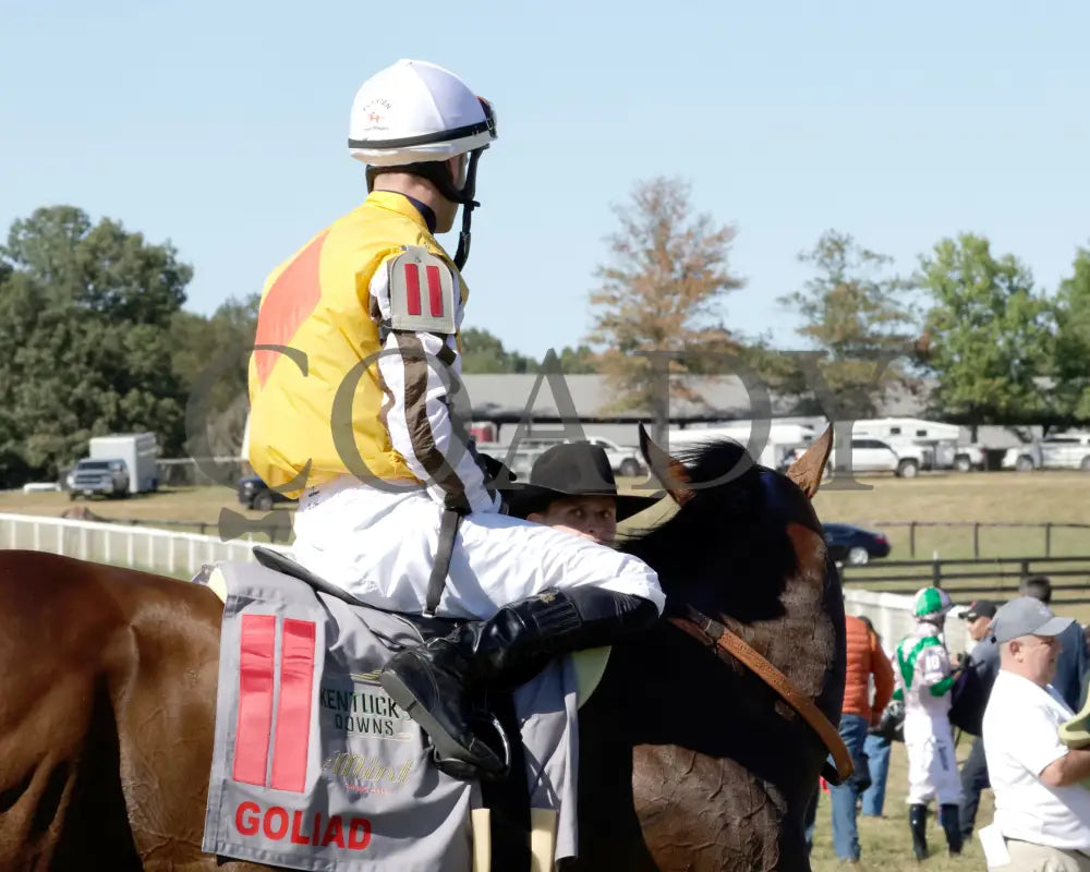 Goliad - The Mint Millions G3 09-07-24 R08 Kd Come Back 02 Kentucky Downs