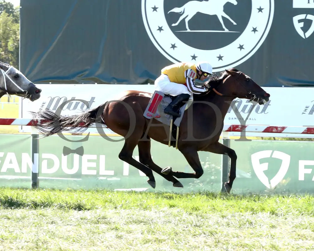 Goliad - The Mint Millions G3 09-07-24 R08 Kd Finish 01 Kentucky Downs